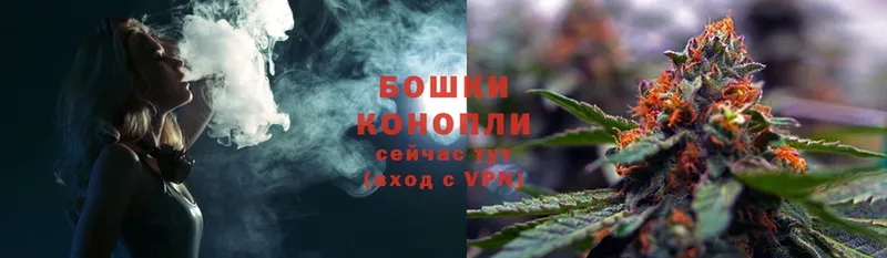 ссылка на мегу ТОР  Зеленоградск  Конопля SATIVA & INDICA  цена наркотик 